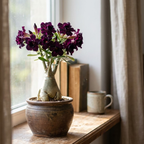 Purple Black Desert Rose Adenium Seeds – Exotic Perennial Flower (4 Seeds)