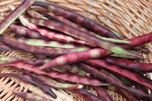 Mississippi Purple Hull Peas Seeds – Southern Peas, Shelling Pea, Heirloom Vegetable Seeds (100 Seeds)