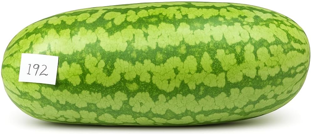 Giant Carolina Cross Watermelon Seeds – Extra-Large Heirloom Variety (10+ Seeds)