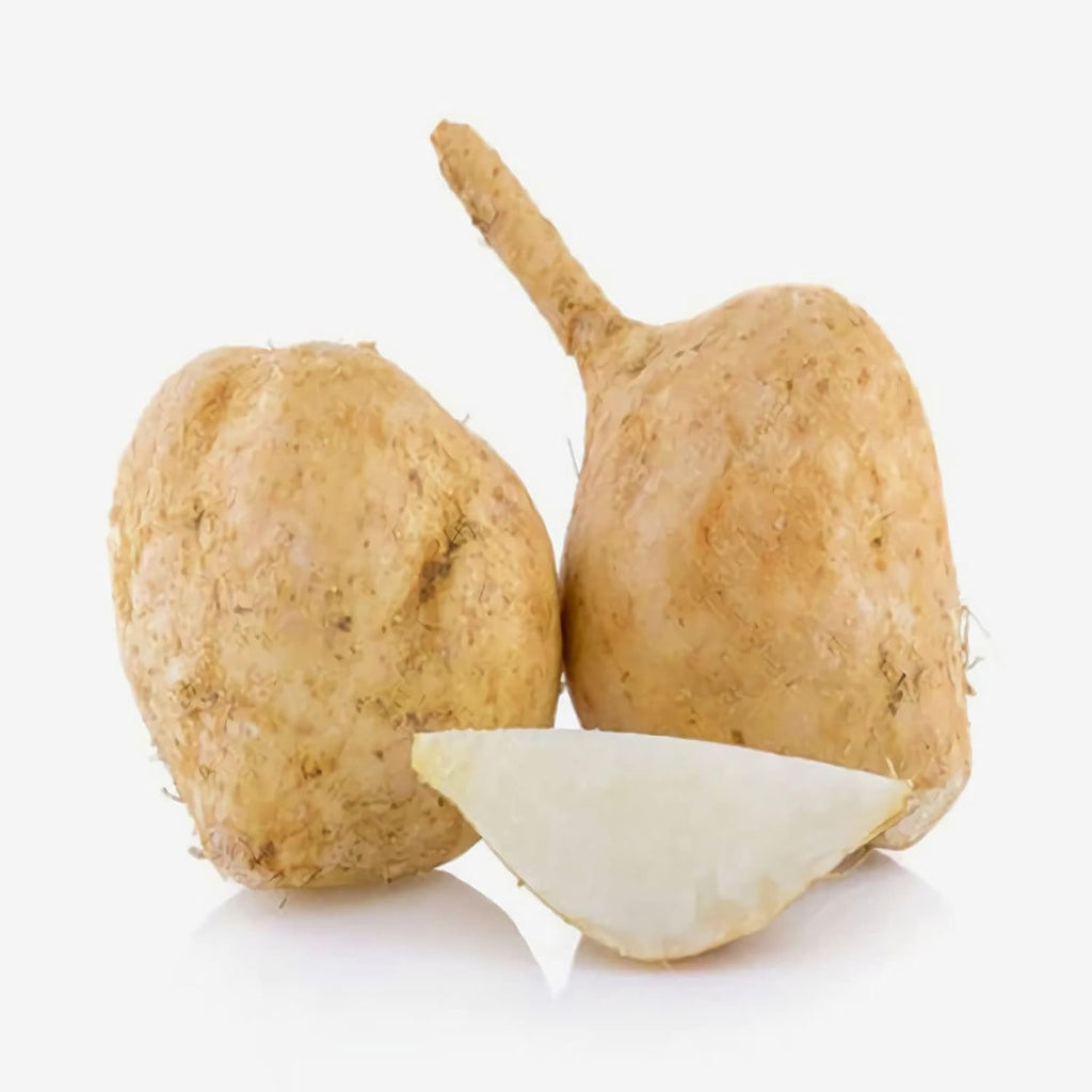 Jicama Seeds (100 Seeds) – Heirloom Mexican Yam Bean for Home Vegetable Garden