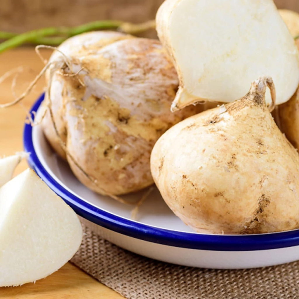 Jicama Seeds (100 Seeds) – Heirloom Mexican Yam Bean for Home Vegetable Garden