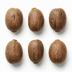 African Baobab Seeds – Rare Exotic Tree Variety (10 Seeds)