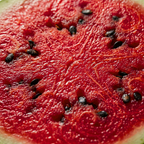 Bush Sugar Baby Watermelon Seeds – Compact Heirloom Variety (40+ Seeds)