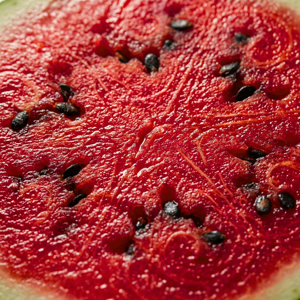 Bush Sugar Baby Watermelon Seeds – Compact Heirloom Variety (40+ Seeds)