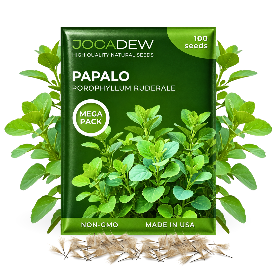 Papalo 30000 Seeds – Mexican Herb Papaloquelite – Heirloom Garden Herb for Planting – Porophyllum ruderale – Seeds for Outdoor Garden & Containers